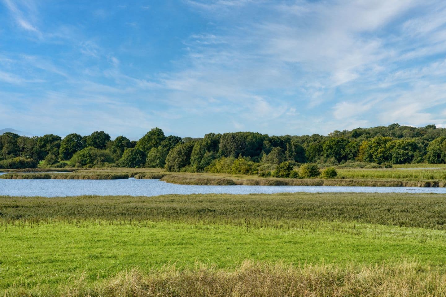 Ferienwohnung Austernfischer 39 im Wreecher Idyll Rügen in Wreechen – Gartenblick