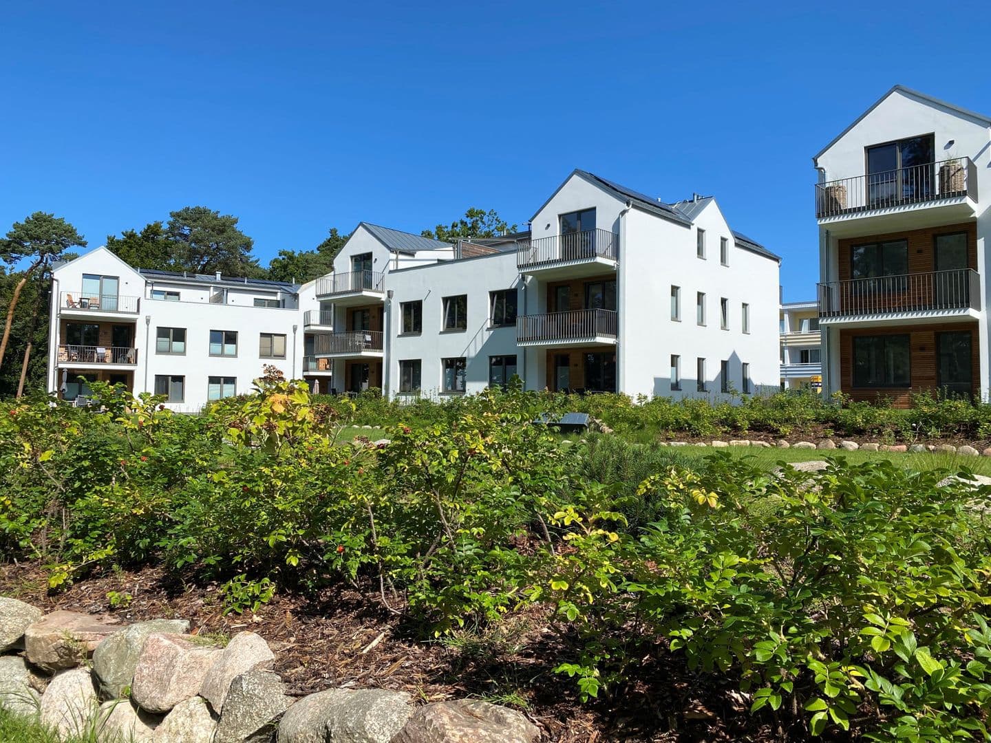 Ferienwohnung Ostseewind 10 Parkvillen Carlota und Candela Baabe in Baabe – Eingang