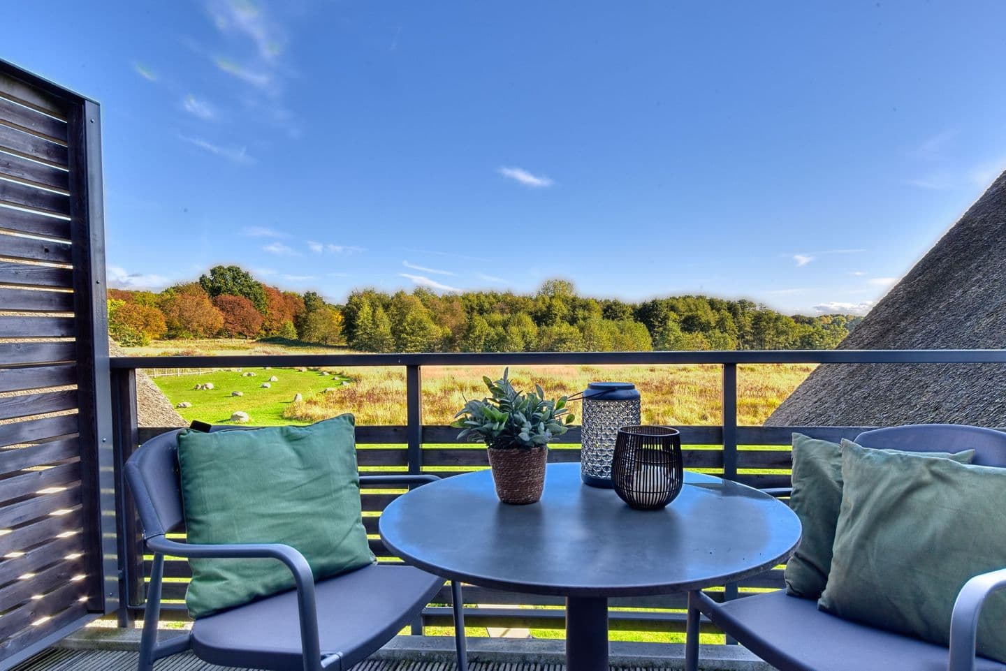 Ferienwohnung Teichhuhn 41 im Wreecher Idyll Rügen in Wreechen – Balkon