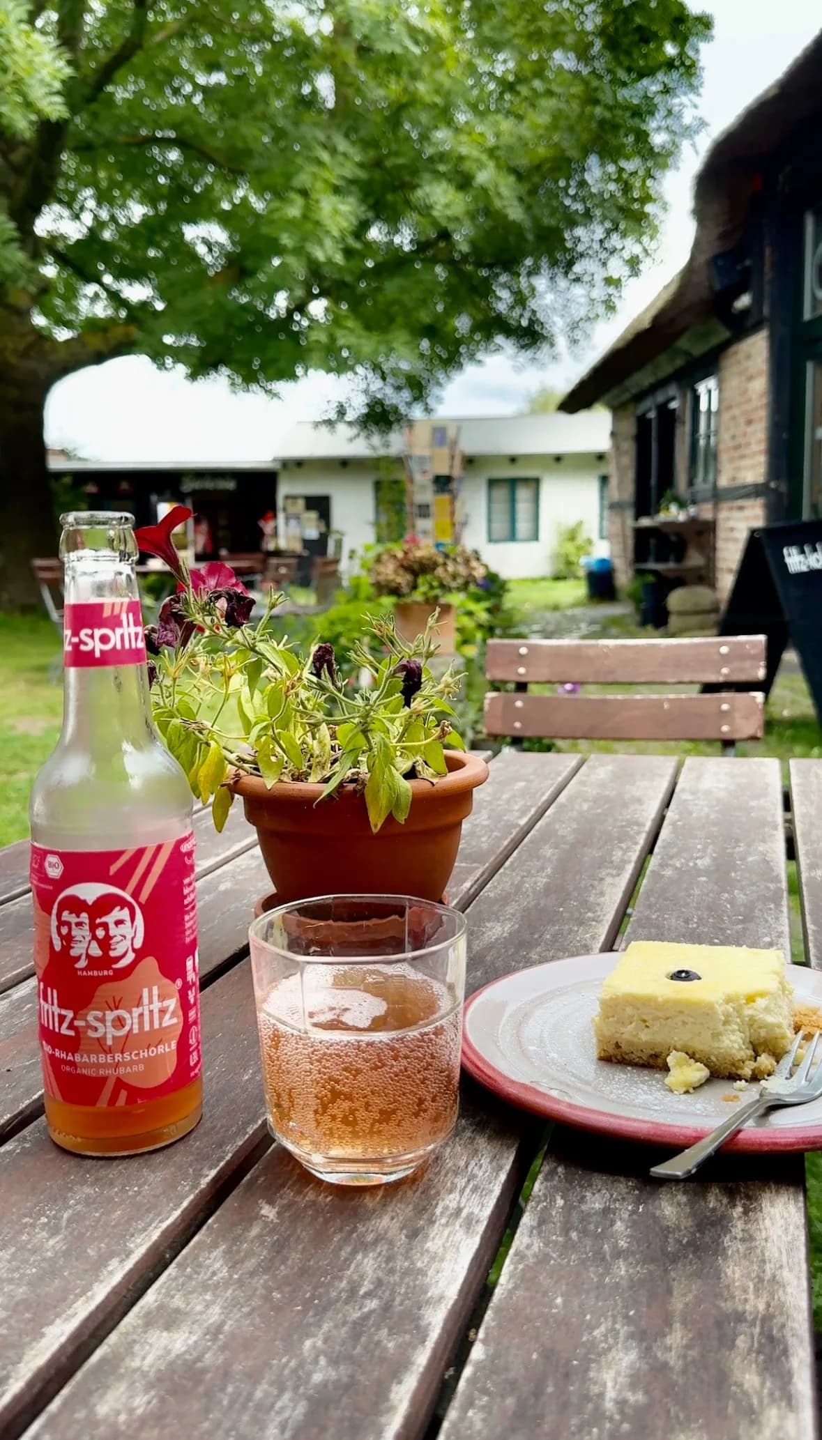 Museumscafé Gingst: Genuss im historischen Ambiente