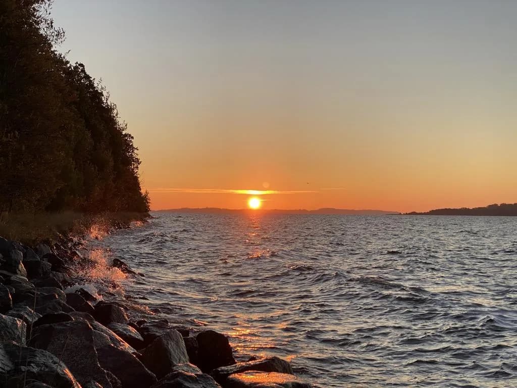 Der Goor-Wald: Knorrige Eichen am Bodden