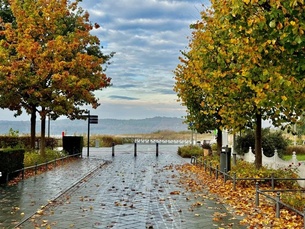 Seepromenade Binz: Naturgenuss am Wasser