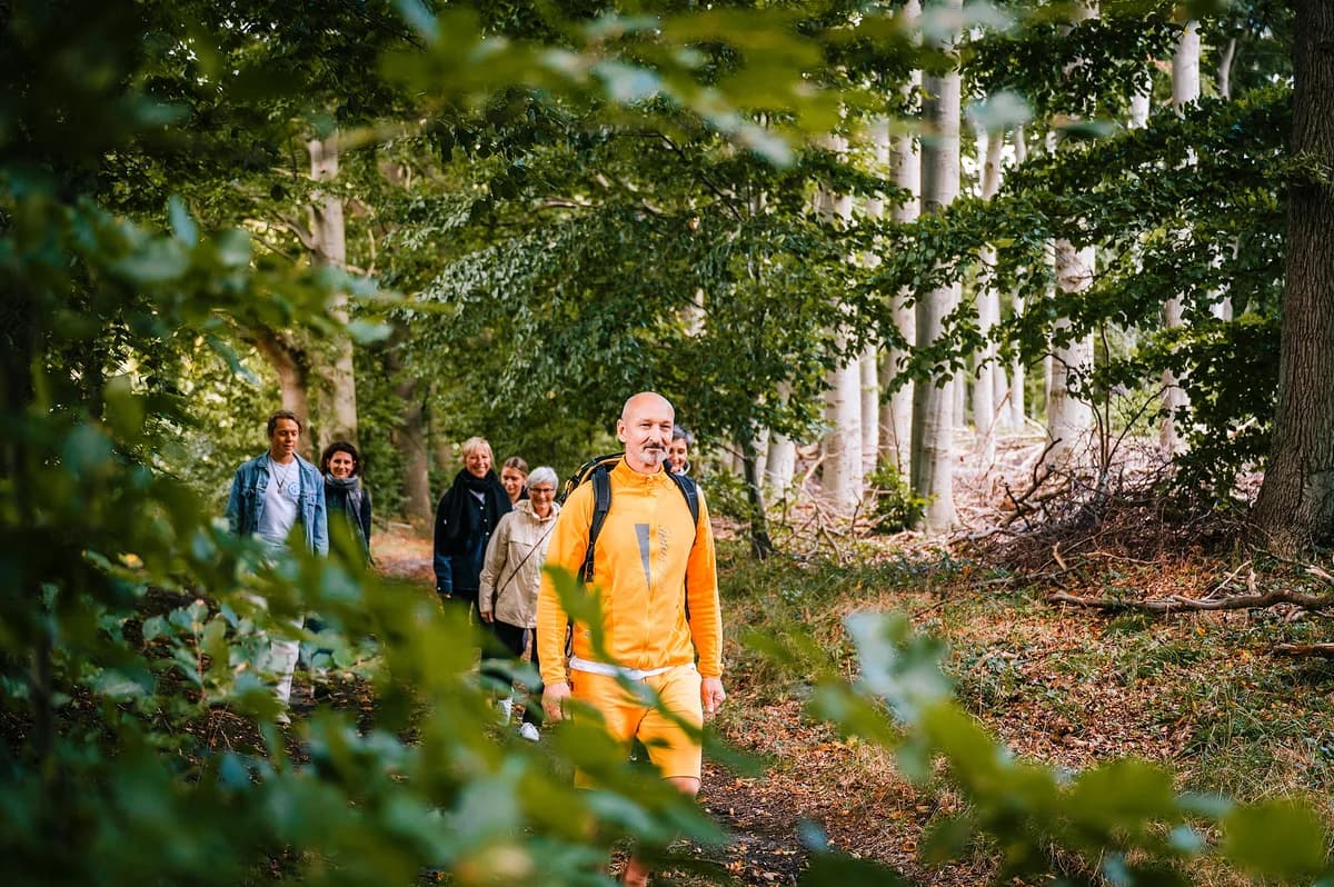 Wandergruppe auf einem Waldweg durch den Buchenwald auf Rügen